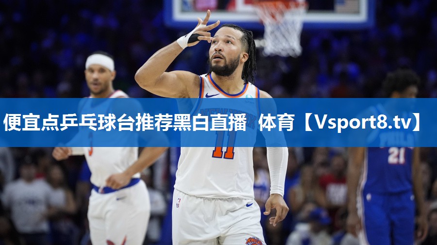 便宜点乒乓球台推荐黑白直播 体育