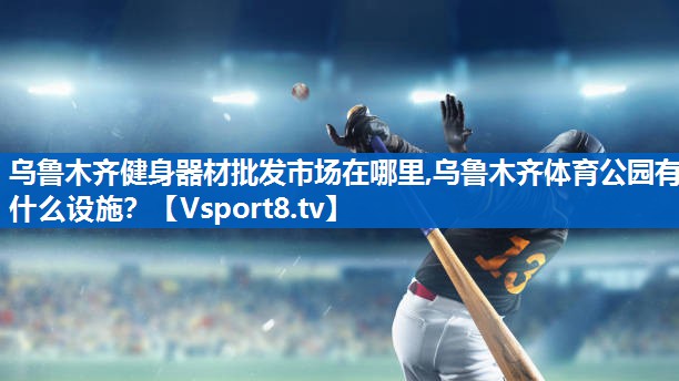 乌鲁木齐健身器材批发市场在哪里,乌鲁木齐体育公园有什么设施？
