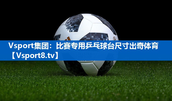 <strong>Vsport集团：比赛专用乒乓球台尺寸出奇体育</strong>