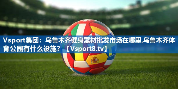 <strong>Vsport集团：乌鲁木齐健身器材批发市场在哪里,乌鲁木齐体育公园有什么设施？</strong>