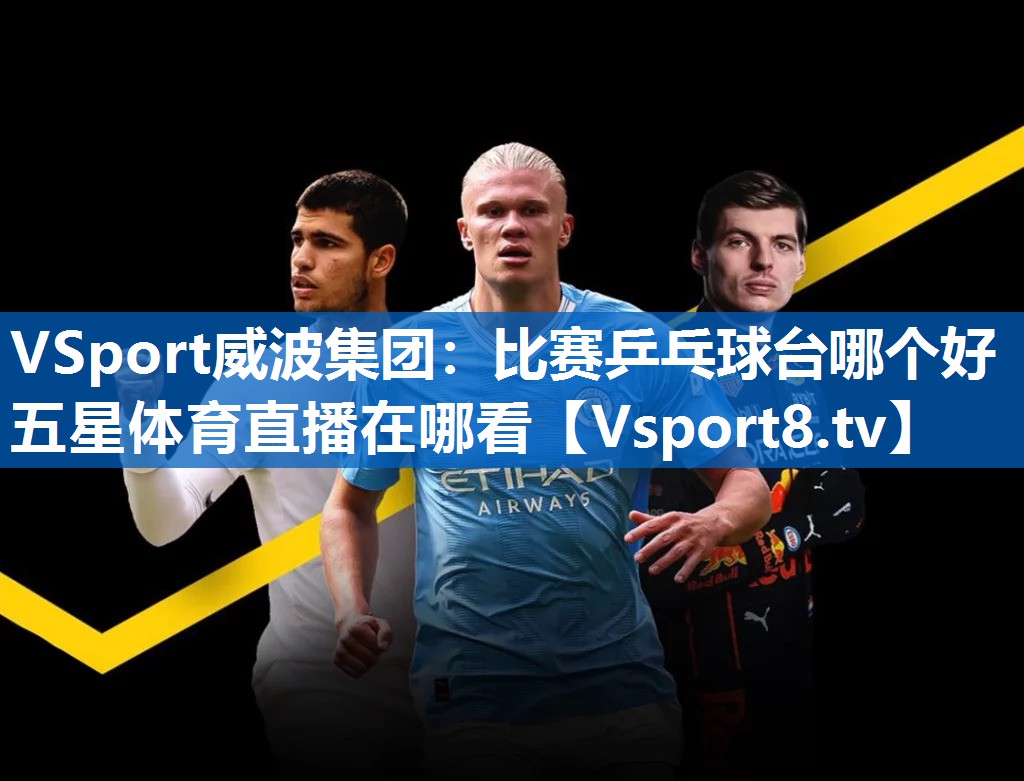 <strong>VSport威波集团：比赛乒乓球台哪个好五星体育直播在哪看</strong>