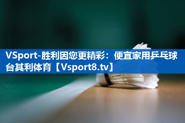 VSport-胜利因您更精彩：便宜家用乒乓球台其利体育