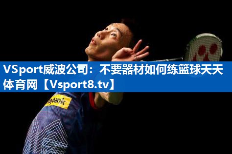 <strong>VSport威波公司：不要器材如何练篮球天天体育网</strong>
