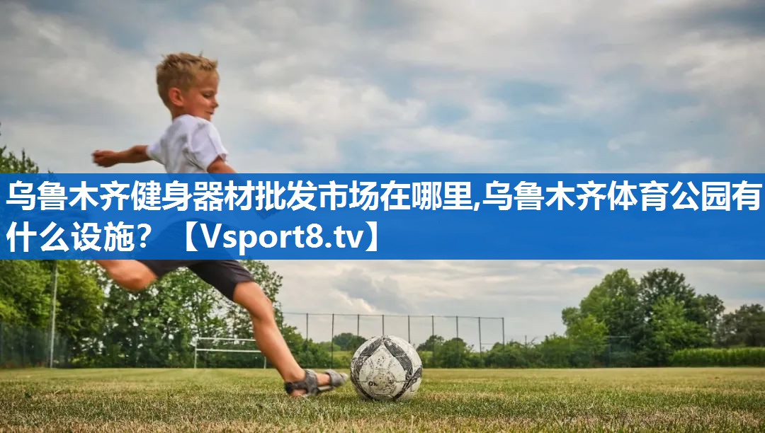 乌鲁木齐健身器材批发市场在哪里,乌鲁木齐体育公园有什么设施？
