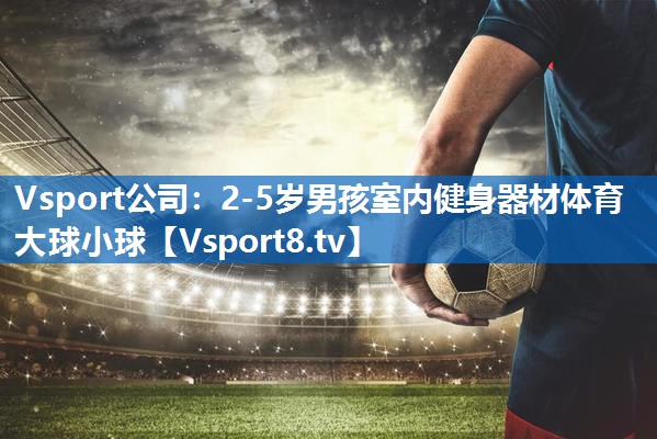 Vsport公司：2-5岁男孩室内健身器材体育大球小球