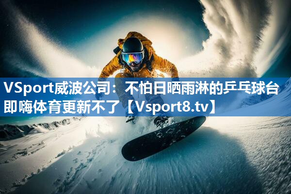 <strong>VSport威波公司：不怕日晒雨淋的乒乓球台即嗨体育更新不了</strong>