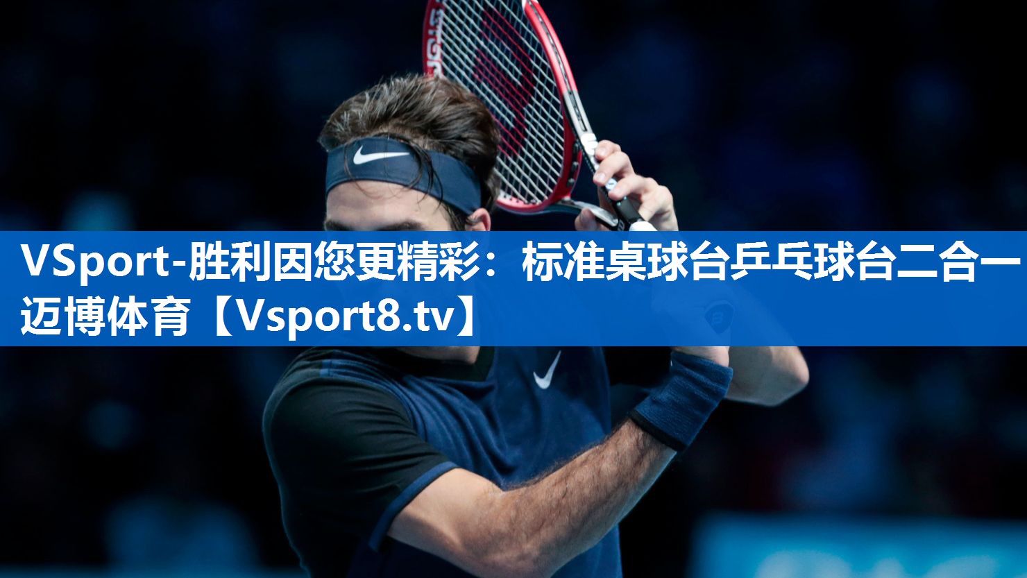 VSport-胜利因您更精彩：标准桌球台乒乓球台二合一迈博体育