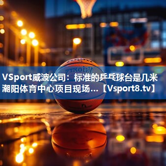 VSport威波公司：标准的乒乓球台是几米潮阳体育中心项目现场…