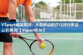 VSport威波集团：不能移动的乒乓球台多高云彩体育
