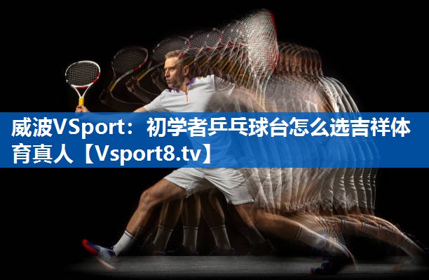 威波VSport：初学者乒乓球台怎么选吉祥体育真人