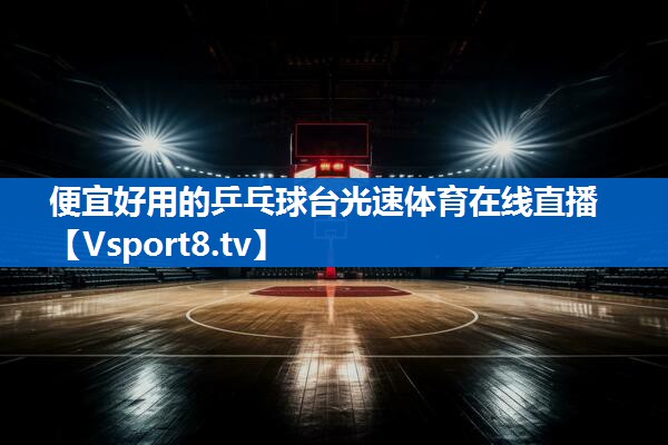 便宜好用的乒乓球台光速体育在线直播