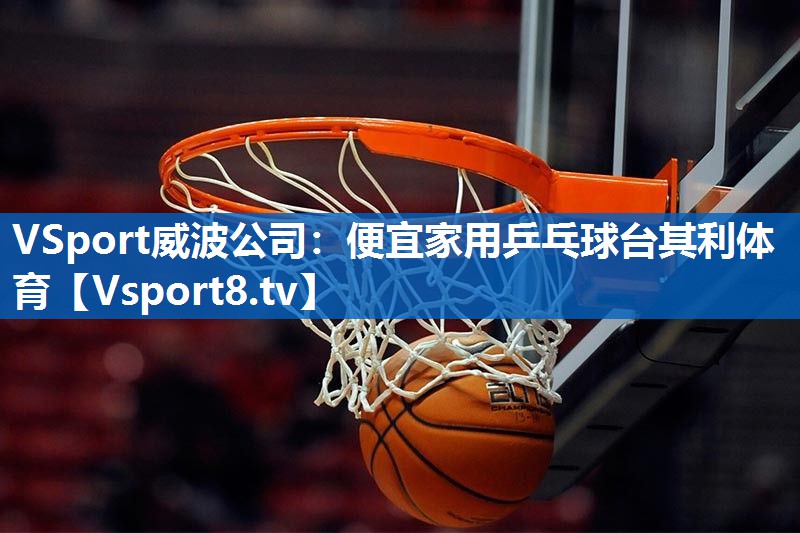 VSport威波公司：便宜家用乒乓球台其利体育