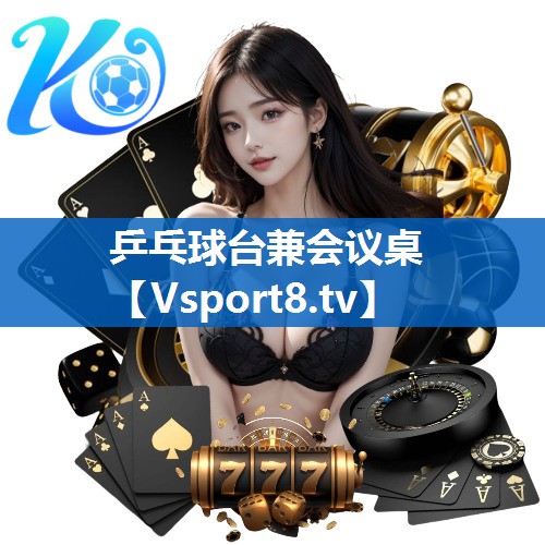 乒乓球台兼会议桌